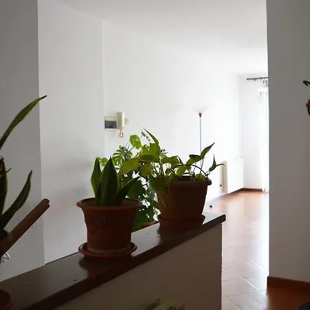 Il Corso Bed and Breakfast